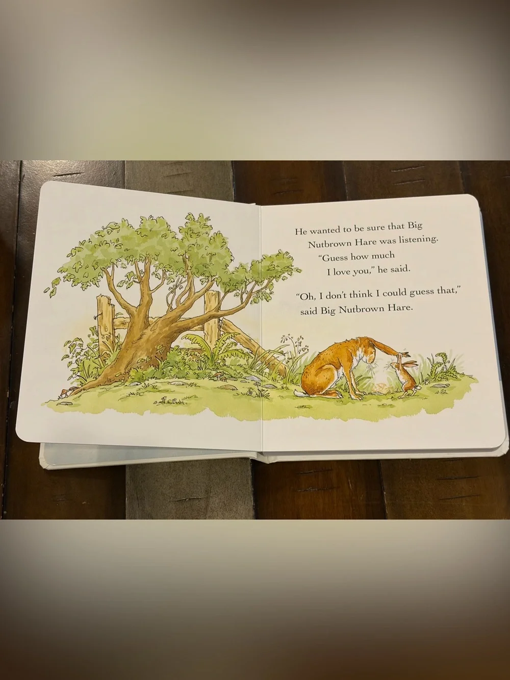 Guess How Much I Love You - Hardcover (New)